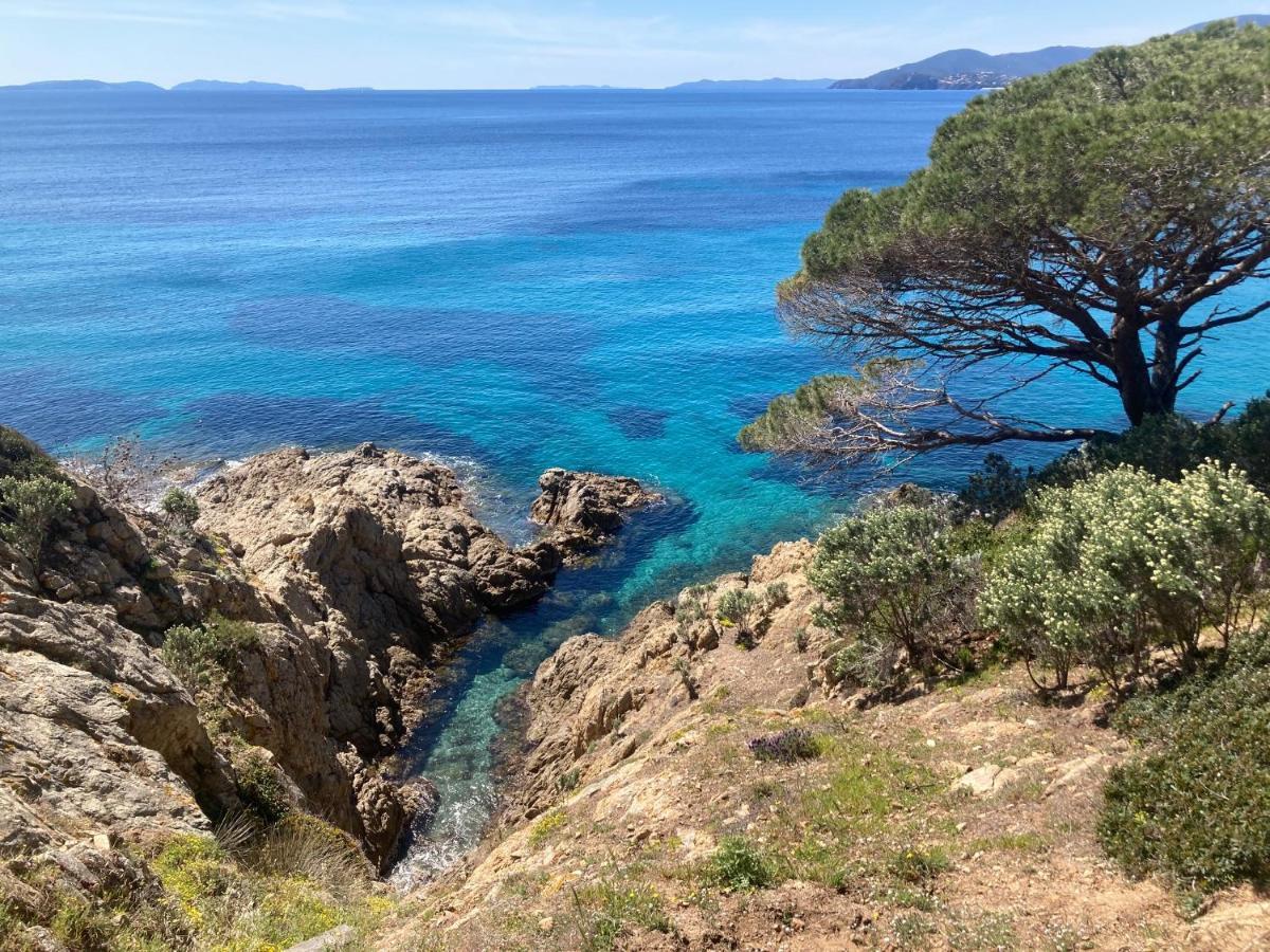 Le Petit Vue Mer La Croix-Valmer Bagian luar foto